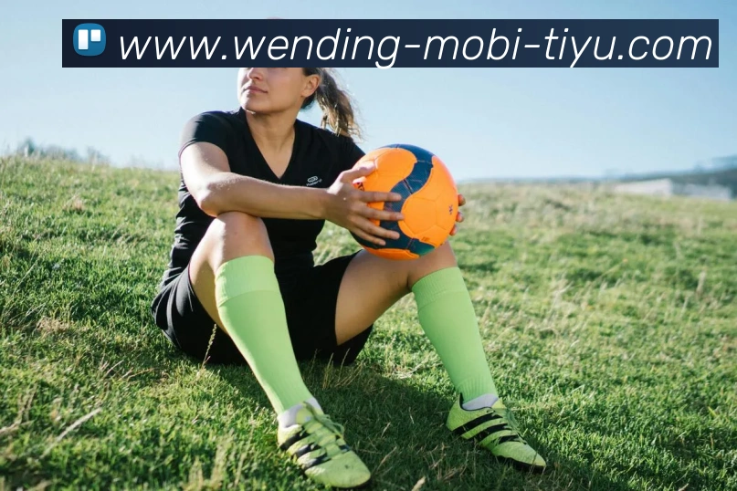 问鼎娱乐APP 封面图